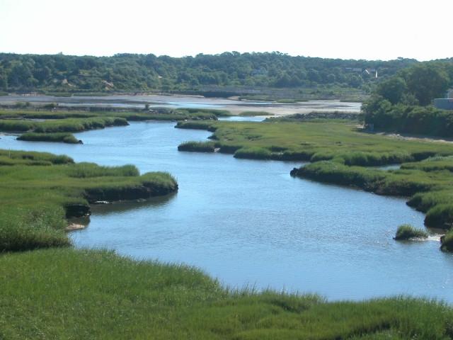 MLS #28_2276 image #7